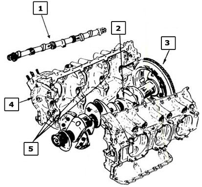 bilan pendulaire