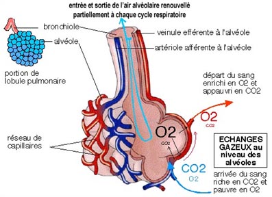 parcours helicoptere