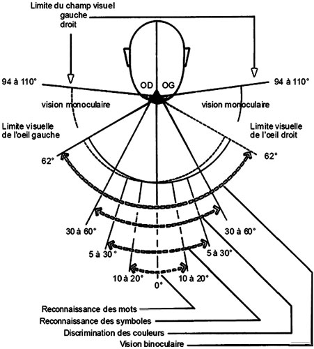 etude voilure